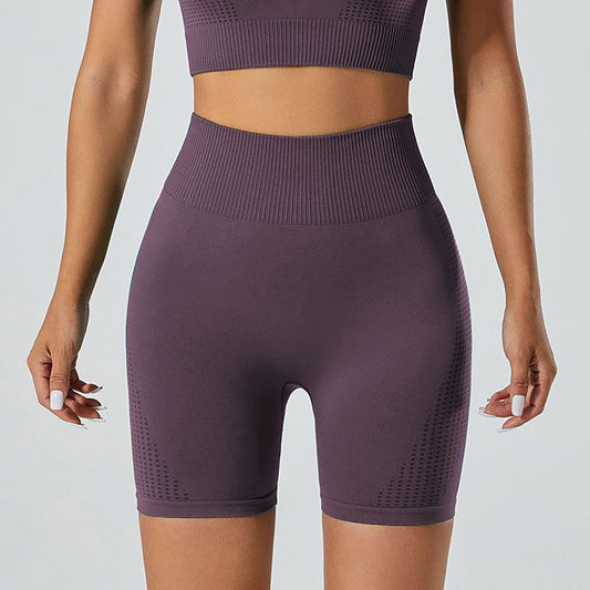 Serene Seamless High Waist Shorts for Women- Activewear for Outdoor Fitness and Gym